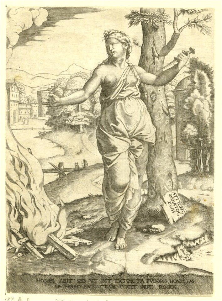 Raimondi - Dido, DG201736965