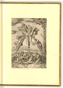 Raimondi - Kreuzabnahme, ItI2013