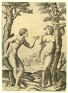 Raimondi - Adam und Eva, DG201736727