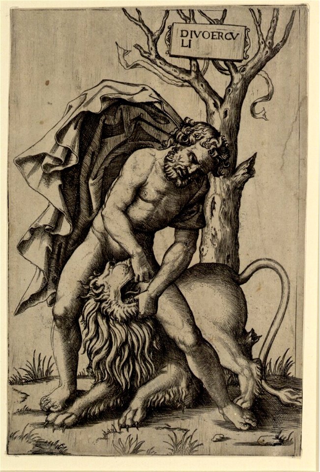 Raimondi - Herkules und der nemeische Löwe, DG1971314