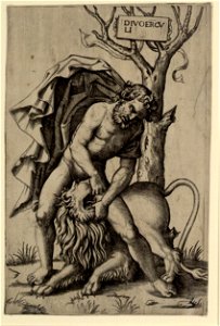 Raimondi - Herkules und der nemeische Löwe, DG1971314