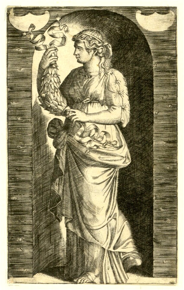 Raimondi - Muse, DG201736982