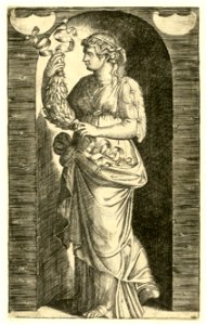 Raimondi - Muse, DG201736982