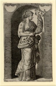 Raimondi - Muse, DG1970457