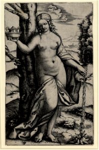 Raimondi - Junge Frau, eine Pflanze gießend, DG1971390