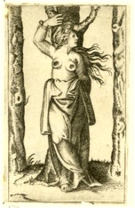 Raimondi - Heilige Agathe, DG201736955