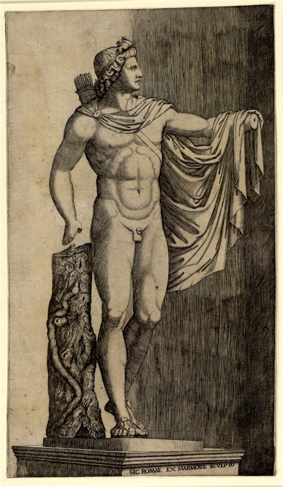 Raimondi - Der Apoll vom Belvedere, DG1971340