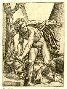 Raimondi - David mit dem Haupt des Goliath, DG201736885