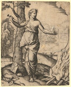Raimondi - Dido, DG1970407
