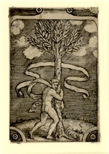 Raimondi - Ein Mann umfasst einen Lorbeerbaum, DG1971371