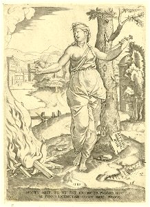 Raimondi - Dido, DG201736966