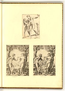 Raimondi - Adam und Eva, ItI202