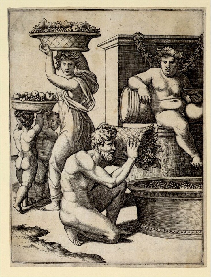 Raimondi - Die Traubenlese, DG1971325