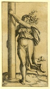 Raimondi - Fortitudo, DG201736749