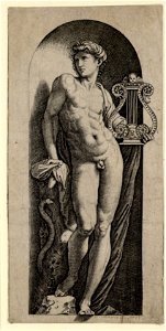 Raimondi - Apollo, DG1971345