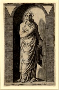 Raimondi - Muse, DG1970454