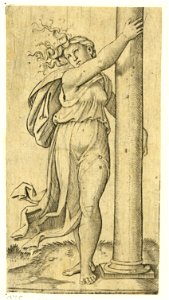 Raimondi - Fortitudo, DG201737008