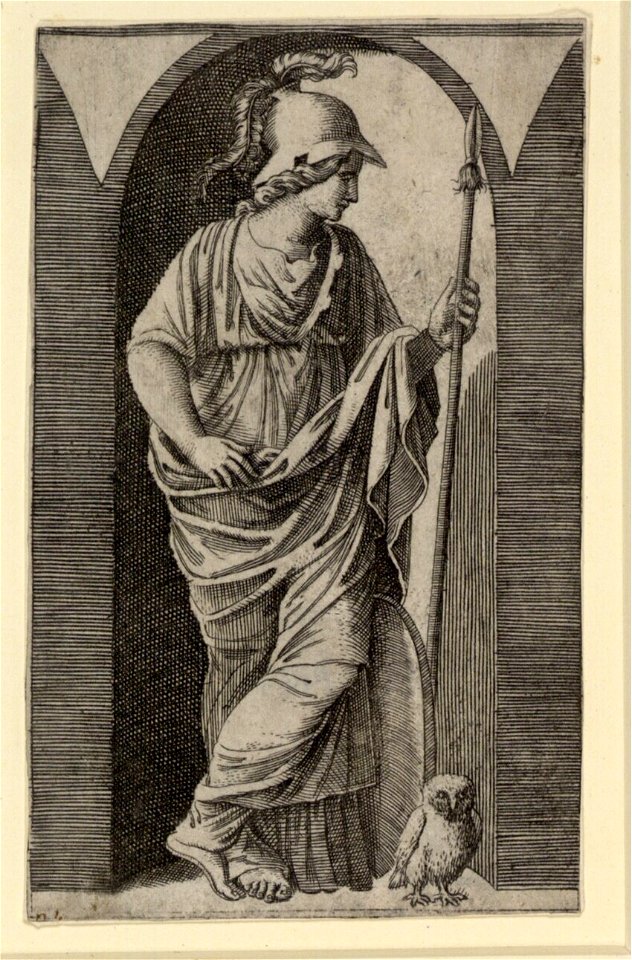 Raimondi - Minerva, DG1970447
