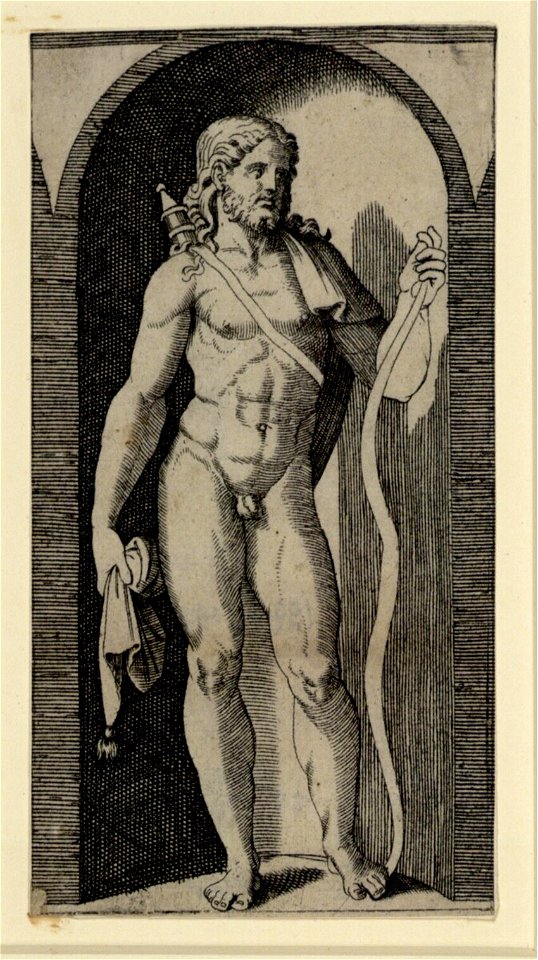 Raimondi - Apollo, DG1970446