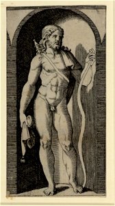 Raimondi - Apollo, DG1970446