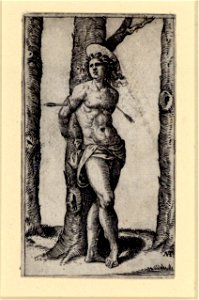 Raimondi - Heiliger Sebastian, DG1970386