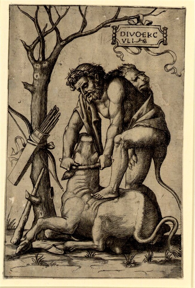 Raimondi - Herkules und Achelous, DG1971315