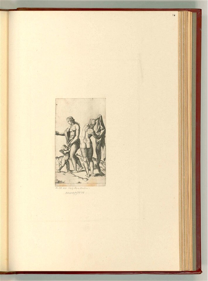 Raimondi - Nach - Venus, Amor und Pallas, ItII1278