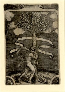 Raimondi - Ein Mann umfasst einen Lorbeerbaum, DG1971370