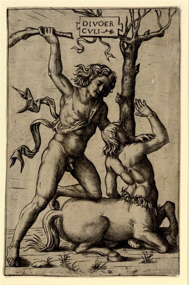 Raimondi - Herkules und Nessus, DG1971313
