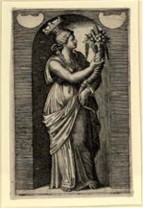 Raimondi - Muse, DG1970460