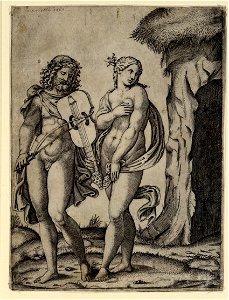 Raimondi - Orpheus und Eurydike, DG1971320