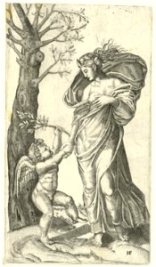 Raimondi - Pax, DG201737016