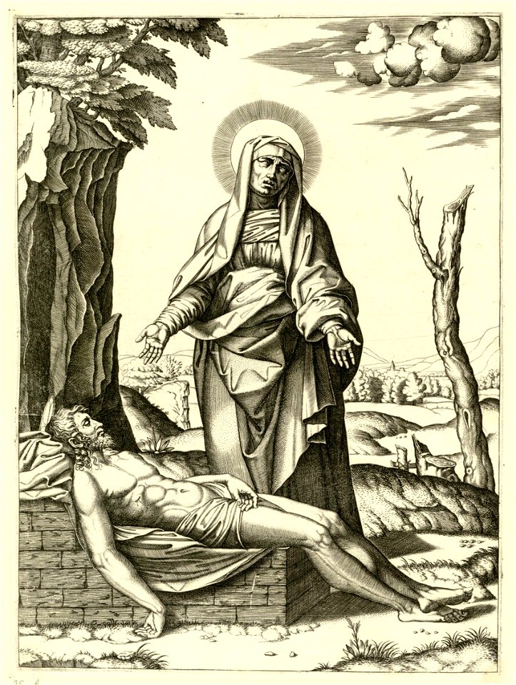 Raimondi - Pietà, DG201736896