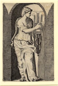 Raimondi - Muse, DG1970462