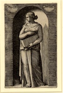Raimondi - Muse, DG1970458