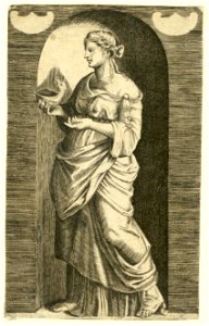 Raimondi - Muse, DG201736983