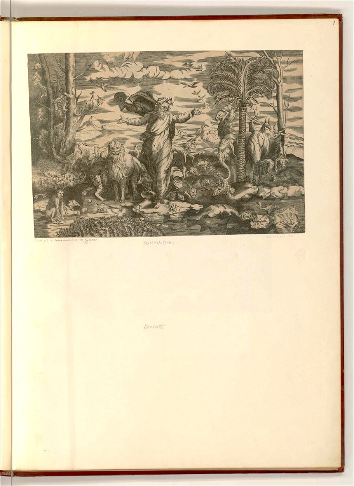 Raimondi - Umkreis - Gott erschafft die Tiere, ItI221