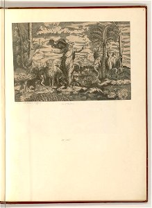 Raimondi - Umkreis - Gott erschafft die Tiere, ItI221