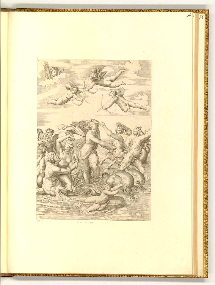 Raimondi - Triumph der Galatea, ItI2056