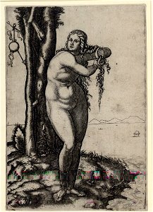 Raimondi - Venus entsteigt dem Meer, DG1971328