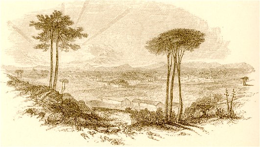 Plain of Thebes - Wordsworth Christopher - 1882