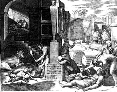 Raimondi - The Plague, 23.984