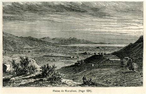 Plaine de Marathon - Belle Henri - 1881