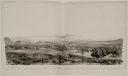 Plain du Céphisse - Stackelberg Otto Magnus Von - 1834