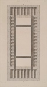 Plan of the existing lacunaria of the Temple of Theseus - Cockerell Charles Robert Kinnard William Donaldsonthomas Leverton Jenkins William Railton William - 1830
