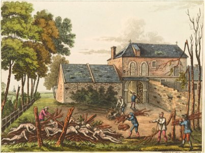 Plate Q from 'An Historical Account of the Campaign in the Netherlands' by William Mudford (1817)