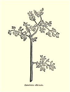 Plantes usuelles-Ysabeau-1878-fumeterre