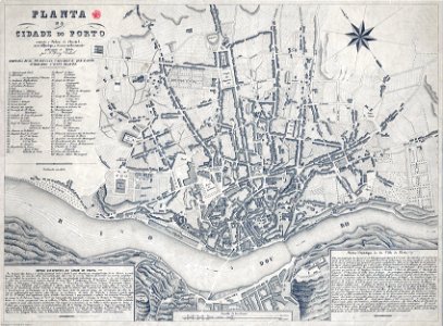 Planta da cidade do Porto 1865 Perry Vidal