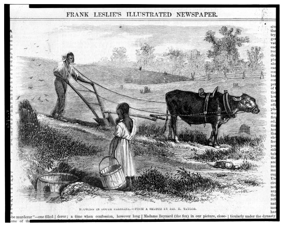 Plowing in South Carolina - from a sketch by Jas. E. Taylor. LCCN2004669782