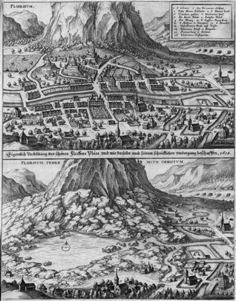 Plursium (Merian)
